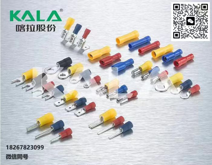 微信图片_20240719145905